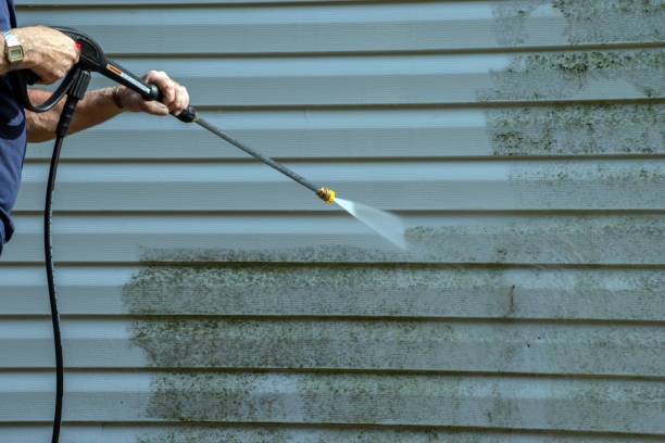 Best Sidewalk and Walkway Cleaning  in Newport News, VA